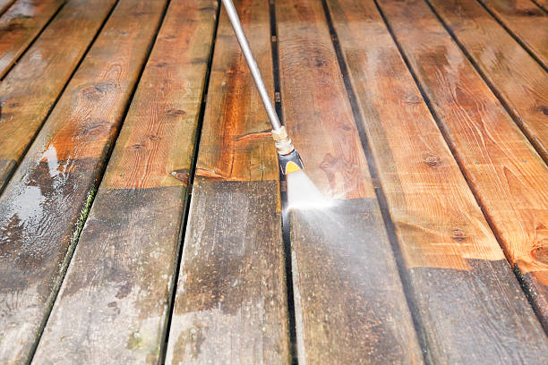 Best Pressure Washing Driveway  in Mulberry, IN