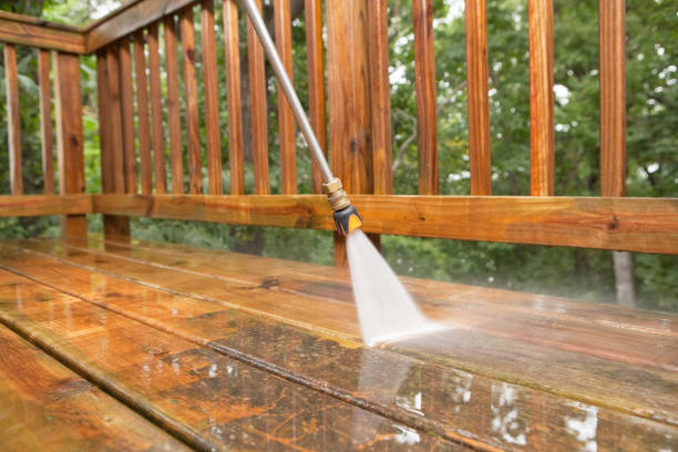 Best Local Pressure Washing Services  in Mulberry, IN